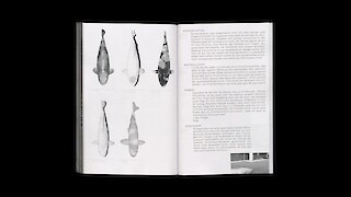 Das Glossar besteht aus zusammengetragenen Bildern und Texten aus Gartenmagazinen und -websites sowie Zitaten aus Gartengesprächen