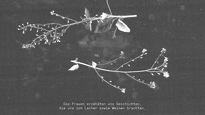Vergissmein-Nicht