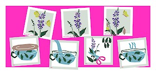 The plant and the exercise cards.