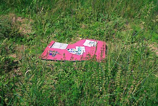The kit consists of a blanket bag, the cards, plant profiles to fill out and a map for the whole group