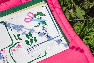 Plant profile and activity cards