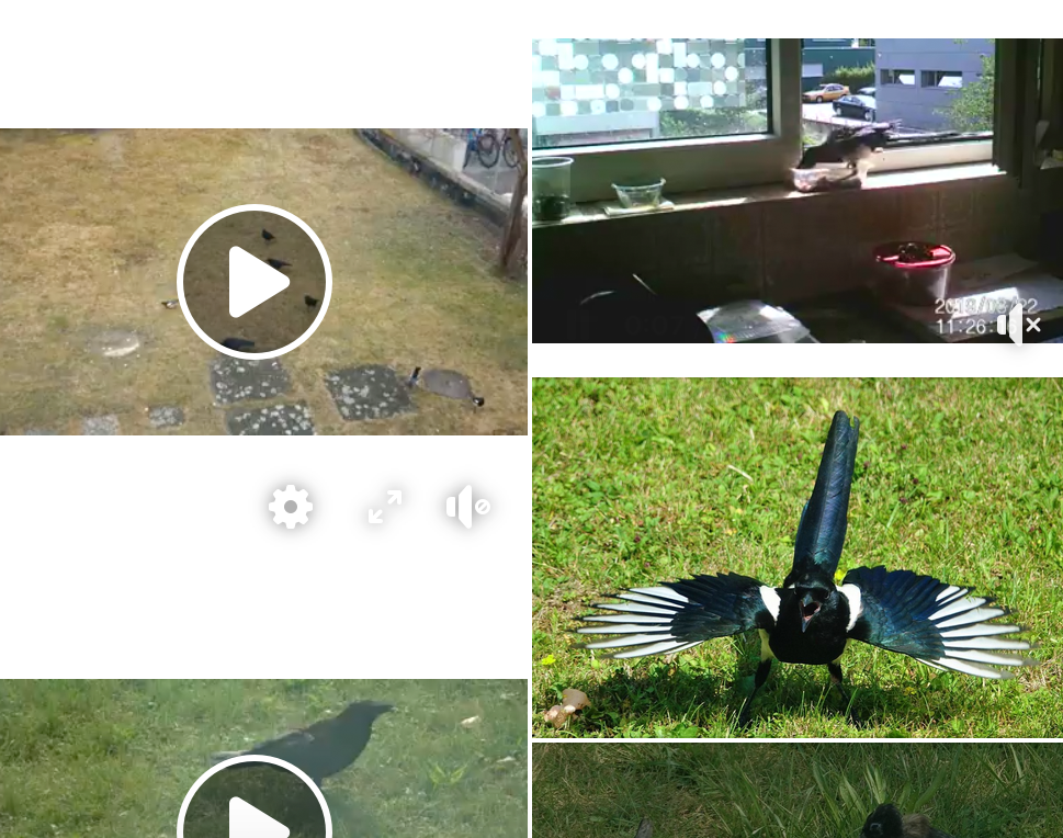 Gratulation zur Promotion